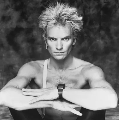 Sting Says Bands, Like the Police, Should Reunite Once