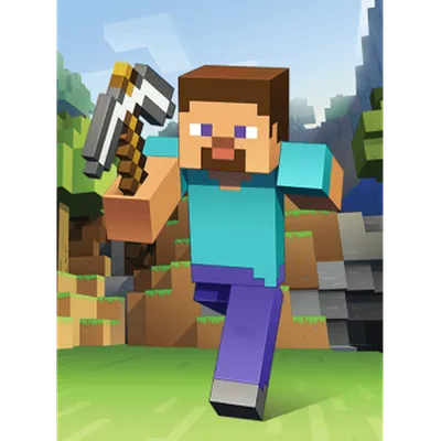 The many faces of Steve : r/Minecraft