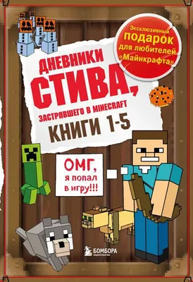 Стив из «Майнкрафта» — Роботы и 3Д печать для детей, Осокорки, Киев