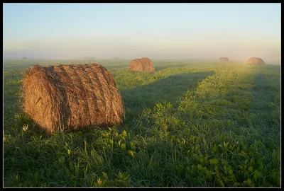 Бесплатное изображение: Круглый стог сена катится по пшеничному полю после  сбора урожая