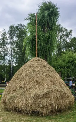 Стог / Стог сена зимой На уральских полях