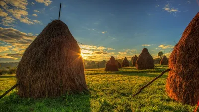 Сколько весит тюк сена или соломы - Manupackaging Ukraine