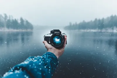 39 503 765 рез. по запросу «Девушка» — изображения, стоковые фотографии,  трехмерные объекты и векторная графика | Shutterstock