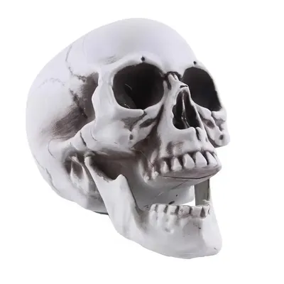 Страшные человеческие черепа, Неаполь, Италия Стоковое Фото - изображение  насчитывающей черепа, священник: 106513678