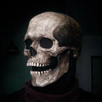 Маска черепа на всю голову с подвижной челюстью Хэллоуин страшная голова,  реалистичная латексная маска для украшения вечеринки, красной светодиодной  подсветкой Halloween - купить по доступным ценам в интернет-магазине OZON  (1142555927)