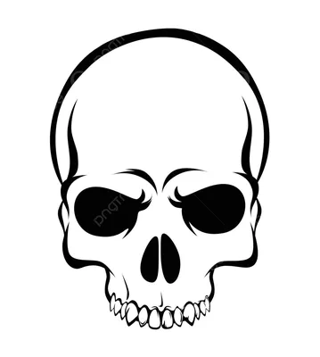 Нарисованные рукой черепа смерти вектора страшные человеческие Иллюстрация  вектора - иллюстрации насчитывающей смерть, чертеж: 125924407