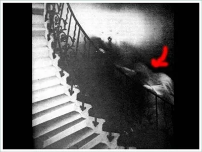 Стивен Содерберг представил хоррор, снятый от лица призрака | КиноТВ