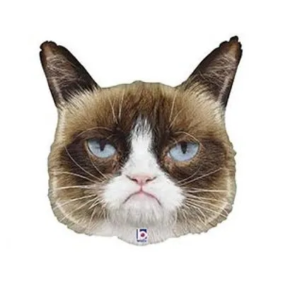 Толстый злой сердитый британский короткошерстный кот Stock Photo | Adobe  Stock