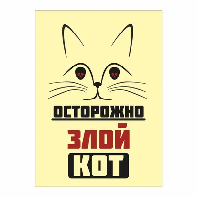 страшный кот | Кот