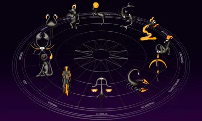 Любовь и страсть по гороскопу: как Венера влияет на построение отношений  всех знаков зодиака - 7Дней.ру
