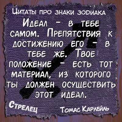 Стрелец.Sagittarius. Смешные афоризмы про знаки зодиака.Funny aphorisms  about the signs of the zodia | Гороскоп, Цитаты, Знаки