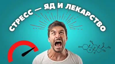 Как стресс влияет на работоспособность