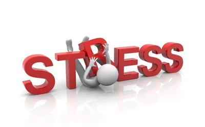 Как правильно вести себя в стрессовых ситуациях? 3 главных шага для выхода  из стресса. | Канал №1 о здоровых нервах. | Дзен