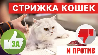 Машинка для стрижки кошек и собак Xiaomi Pawbby Pet Shaver
