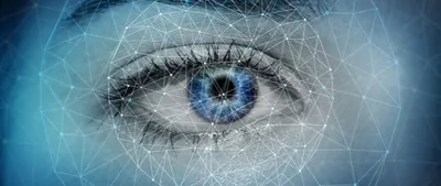 Глаз: строение, камеры, глазное дно, (анатомия человека) плакат глянцевый  А1+, глянцевый холст от 200г/м2 - купить с доставкой по выгодным ценам в  интернет-магазине OZON (986021759)