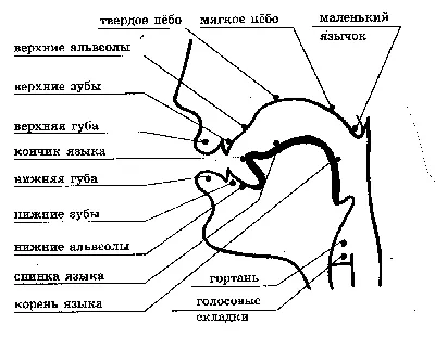 Пение