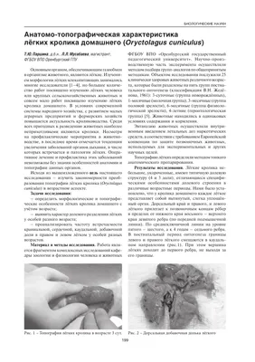 Голова Кролика Простые Иконки Набор Цветных И Монохромных Иконок Животные  Простая Плоская Конструкция Векторная Графика — стоковая векторная графика  и другие изображения на тему Без людей - iStock