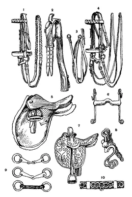 Глава 4. Конское снаряжение [1979 Анисимов М.Д., Кузинин С.А., Рогалев Г.Т.  - Дрессировка лошадей в цирке]