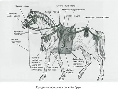 Рисунки лошадь с уздечкой и седлом (41 фото) »