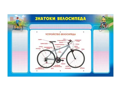 Устройство велосипеда » Дикий Байк - Веломастерская и выездной ремонт  велосипедов.