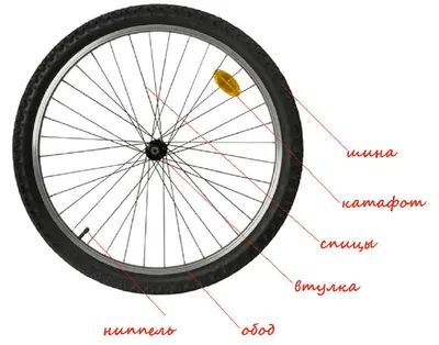 Анатомия велосипеда для новичков | Велообзоры | Дзен