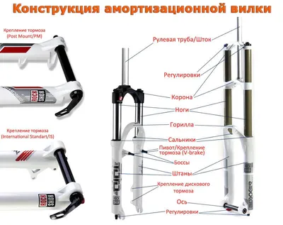 Урок по окружающему миру в 1-м классе «Когда изобрели велосипед?»