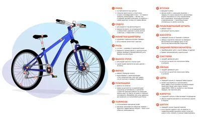 Устройство велосипеда и средняя стоимость деталей ~Блог Roliki