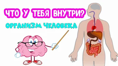 Абстрактная Анатомия человека, Мышечная система, схема, холст, живопись,  настенный плакат, Печать тела, структура, изображение скелета медицинский  Декор | AliExpress