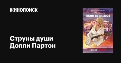 Струны души : Цветландия — круглосуточная доставка цветов в Казахстане