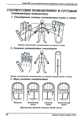 Профилактическая и оздоровительная методика Су-Джок