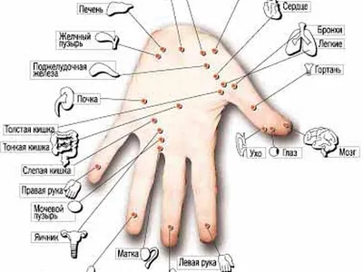 Hot Music Academy - пальчиковый массаж ✋ Су Джок терапия,🖐️ разработанная  всемирно известным ученым из Южной Кореи (Сеул) профессором Пак Чже Ву, —  это открытие XX века, это не только метод лечения,