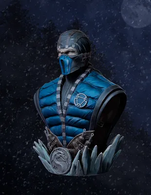 Mortal Kombat Sub-Zero Cosplay Costume