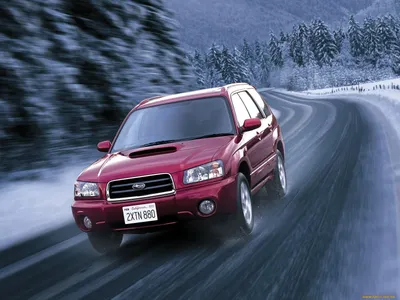 Обои subaru-forester-sti-version Автомобили Subaru, обои для рабочего  стола, фотографии subaru, forester, sti, version, автомобили Обои для  рабочего стола, скачать обои картинки заставки на рабочий стол.