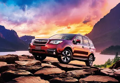 Серебристый Subaru Forester Стоит На Дороге В Заснеженном Зимнем Лесу —  стоковые фотографии и другие картинки Автомобиль класса SUV - iStock