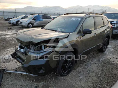 Nikolaevka, Russia - June 23, 2020: Black Subaru Forester At Dirty Forest  Road In Summer Фотография, картинки, изображения и сток-фотография без  роялти. Image 159625065