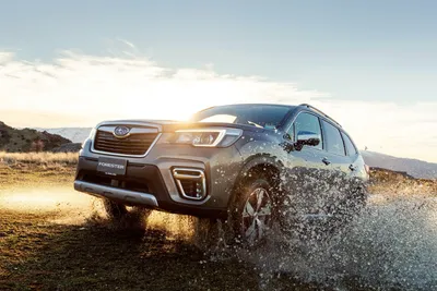 Subaru Forester обзавёлся новой версией с турбомотором — Motor