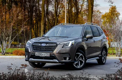 Новый Subaru Forester: гамма для России — Авторевю