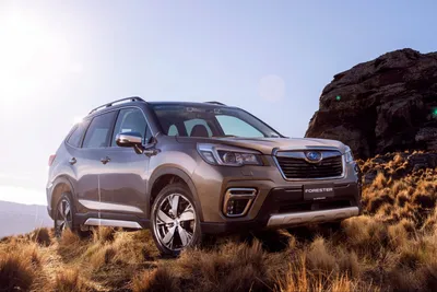 Взял Subaru Forester после Toyota RAV4 – небо и земля | НОВЫЕ АВТОМОБИЛИ |  Дзен