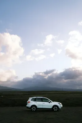 Subaru Forester - фото салона, новый кузов