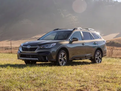 День Тестдрайва Subaru Outback 2018 — стоковые фотографии и другие картинки  Автомобиль - Автомобиль, Без людей, Буш - iStock