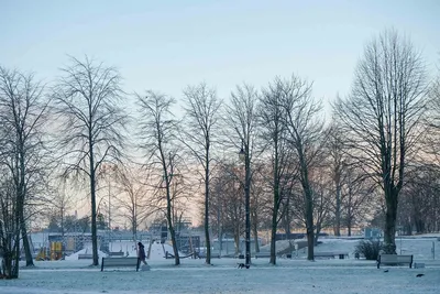 Неприлично красивая зима на даче | Провинциальный дневник | Дзен