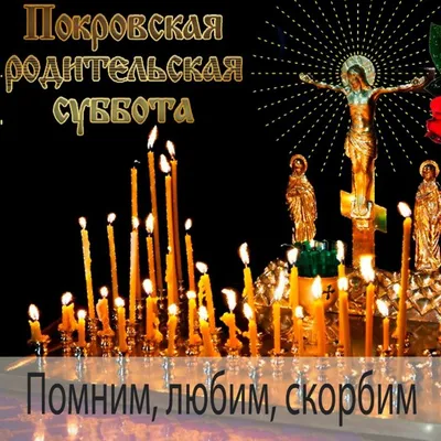 Донорская суббота в Подольске состоится 16 декабря
