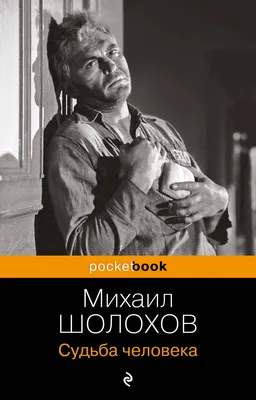 Иллюстрация 1 из 65 для Судьба человека - Михаил Шолохов | Лабиринт -  книги. Источник: Лабиринт