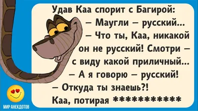 Лучшие короткие анекдоты: более 50 шуток на разные темы