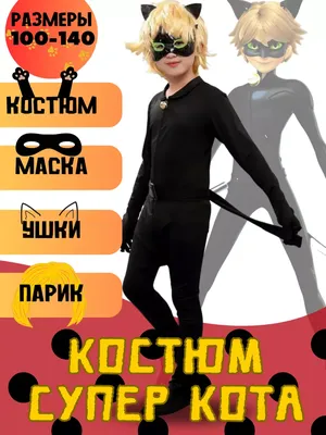 ᐉ Кукольный набор Miraculous Леди Баг и Супер Кот Превращение Супер Кота  P50603 • Купить в Киеве, Украине • Лучшая цена в Эпицентр