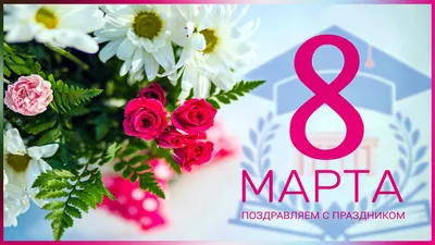 Принимаем заказы на 8 марта друзья супер Акция 🌹🌹🌹 #8марта 🌹🌹🌹 🌹Розы  🌹 40 см 🌹15 шт - 1500 сом 🌹25 шт - 2500 сом 🌹51 шт - 4500 сом 🌹… |  Instagram