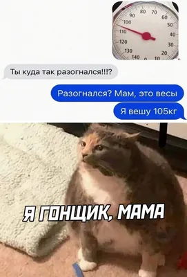 🔥🔥🔥Подписываемся и лакаем СУПЕР смешные мемы Интернета🔥🔥🔥 | ВКонтакте