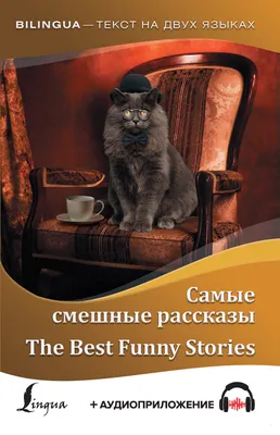 Comedy Pet Photo Awards (Великобритания): самые смешные фотографии домашних  питомцев 2021 (Comedy Pet Photo Awards, Великобритания) | 07.10.2022, ИноСМИ