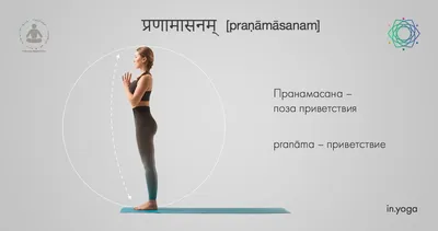 8 причин практиковать Сурья Намаскар | Йога в дзене | Дзен