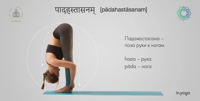 Сурья Намаскар - Приветствие Солнца | YogaVita-йога для начинающих | Дзен